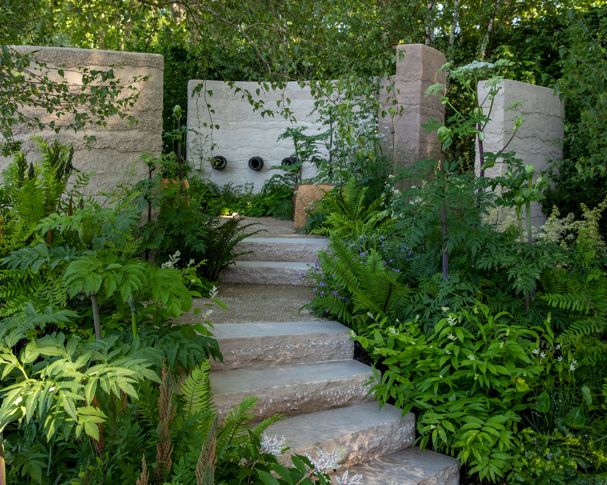 sloping garden with steps up to secluded seating area, with ferns and other herbaceous perennials