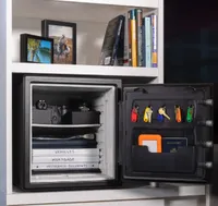 SentrySafe Fire-Resistant and Waterproof Safe