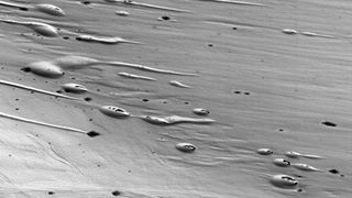A black and white image of the landscape of Mars with crescent-shaped dunes. 