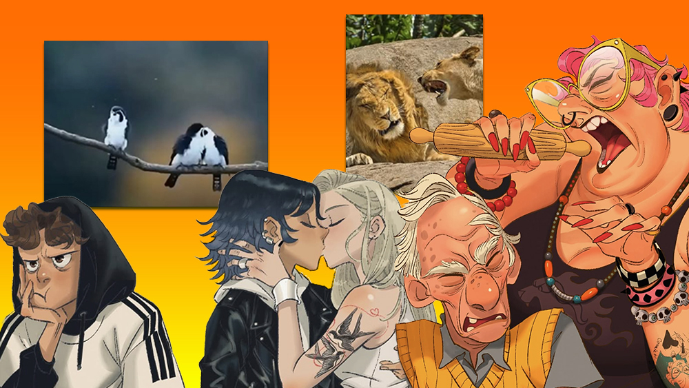 Animal to human character designs showing photographs of animals and artwork showing human characters inspired by the animal photos