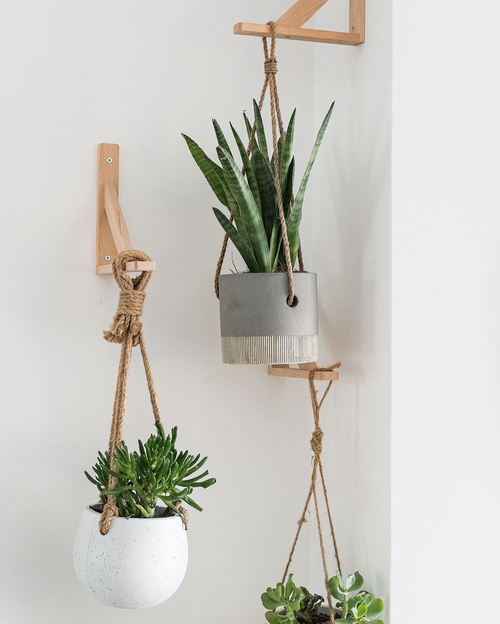 House plant ideas to inspire creative greenery and foliage for indoors ...