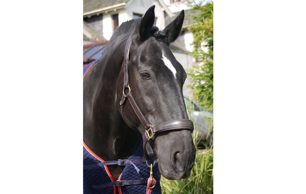 Ali H&amp;amp;H photo credit Carole Pow