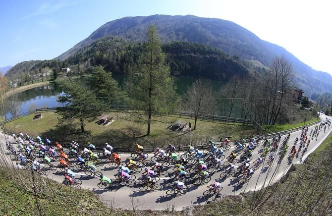 The peloton