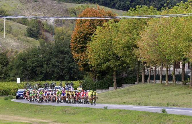 The peloton in the GP Beghelli