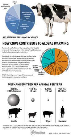 Chart compares methane emissions sources.