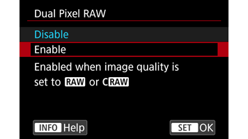 Canon Dual Pixel RAW camera screen showing Dual Pixel RAW enabled
