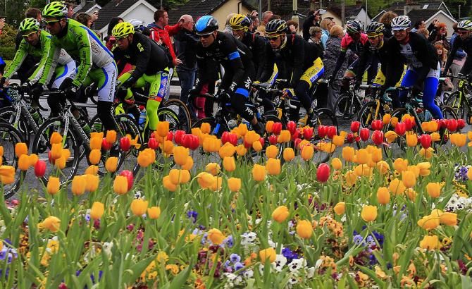 Tulips line the roadside of the Giro's second stage to Belfast