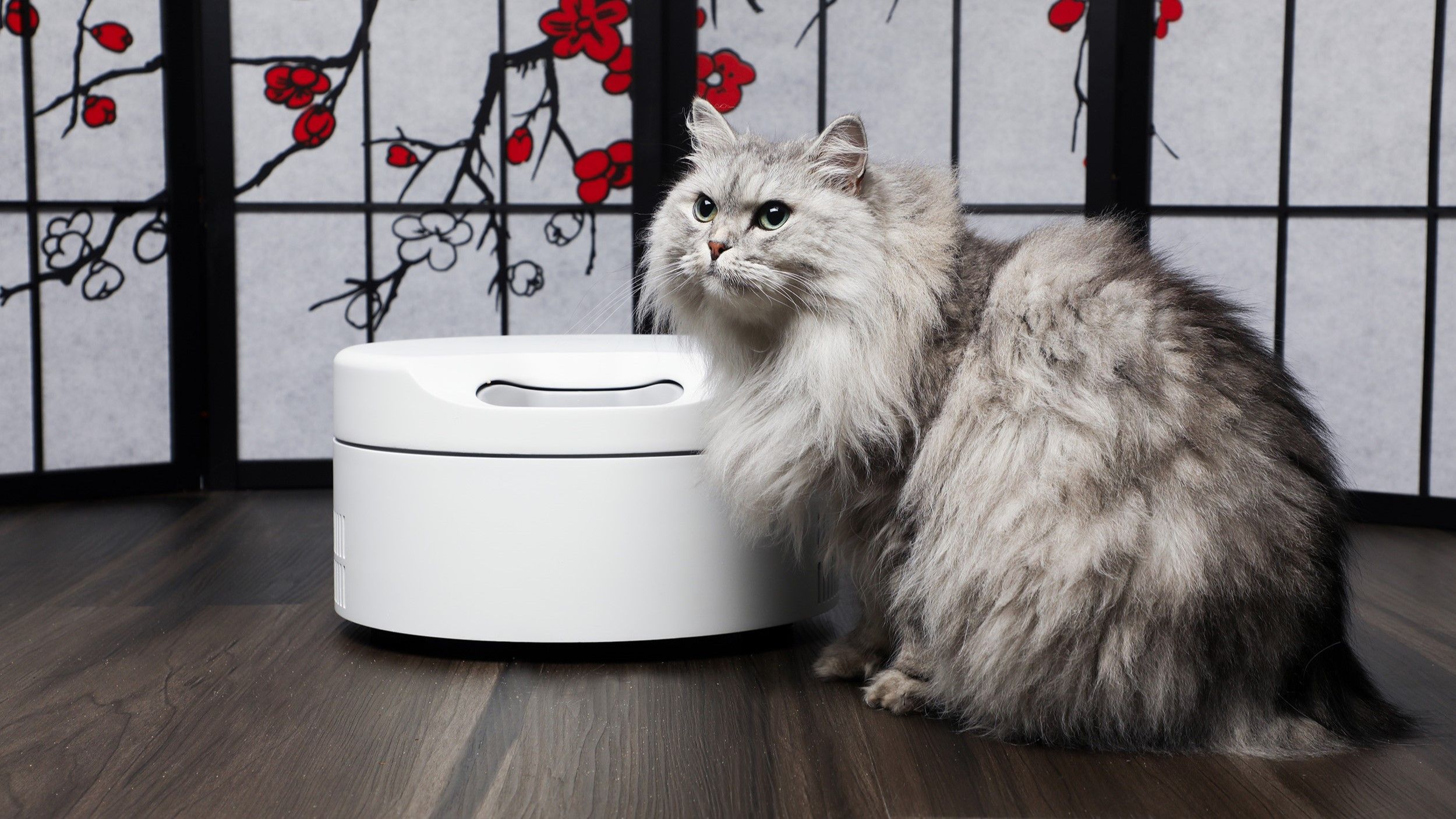 This smart wet food dispenser keeps my cat's dinner chilled – and me ...