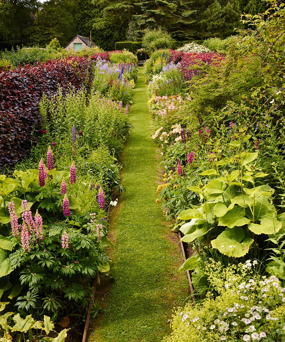 Garden borders packed with flowers