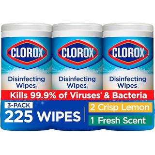 Amazon.com: Clorox Disinfecting Wipes Value Pack, Household Essentials, 75 Count, Pack of 3 (package May Vary) : Health & Household