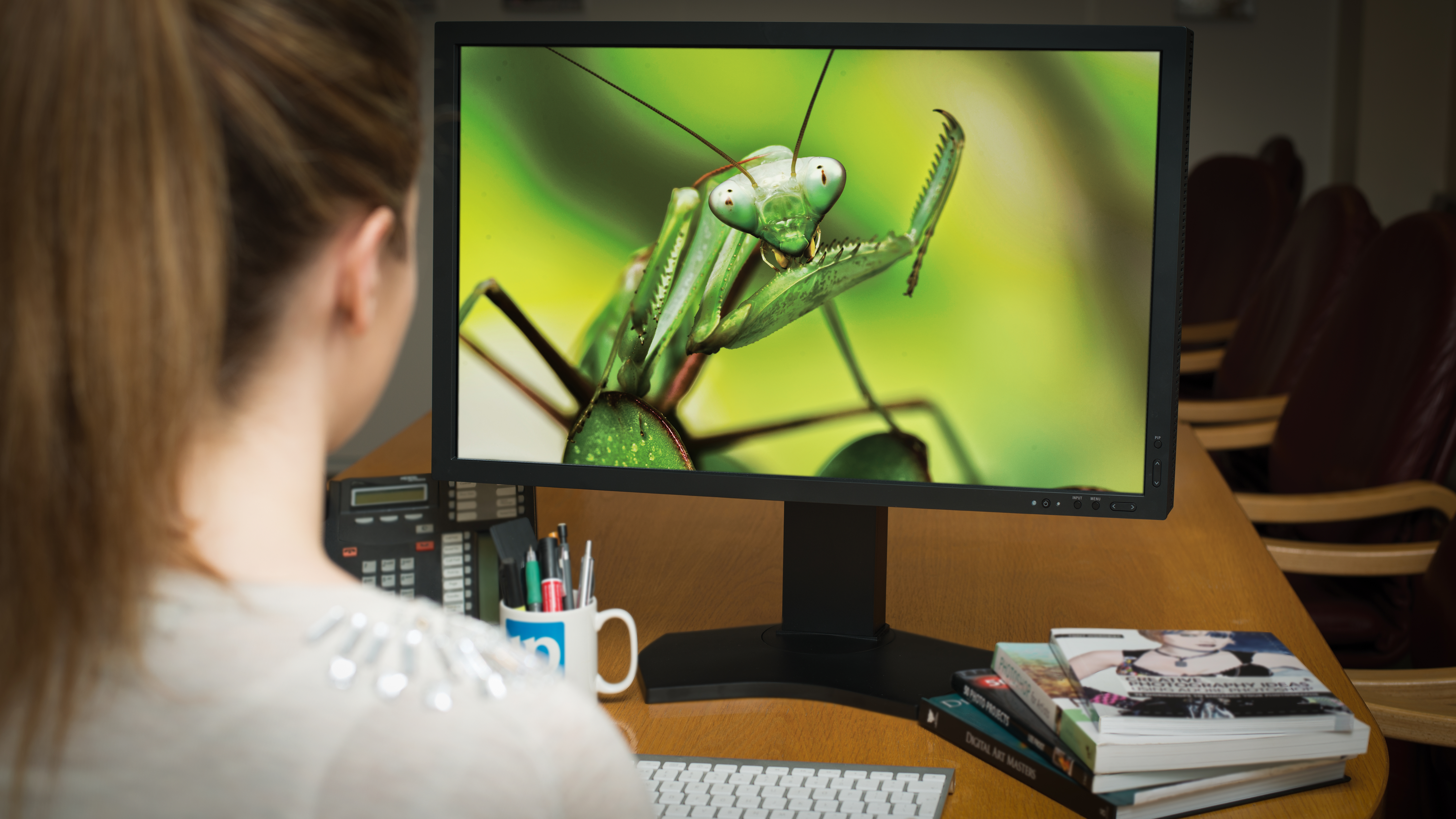 A person with a ponytail sitting at a computer, editing a close-up photograph of a praying mantis