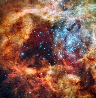 Hubble Space Telescope photo of 30 Doradus