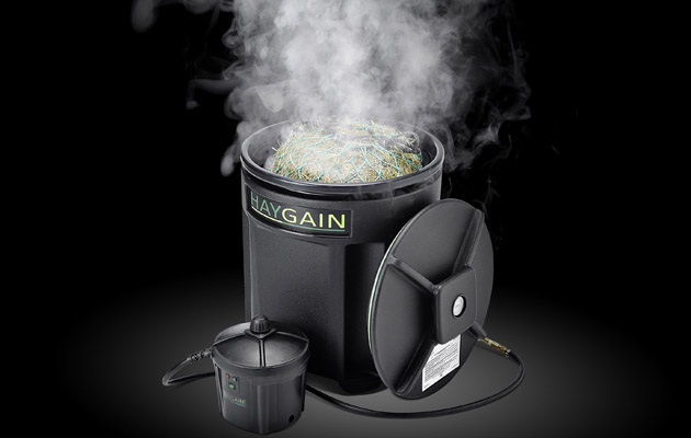 one steam