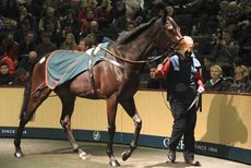 FSP_GOFFS_PAULYN_SALE_008.jpg