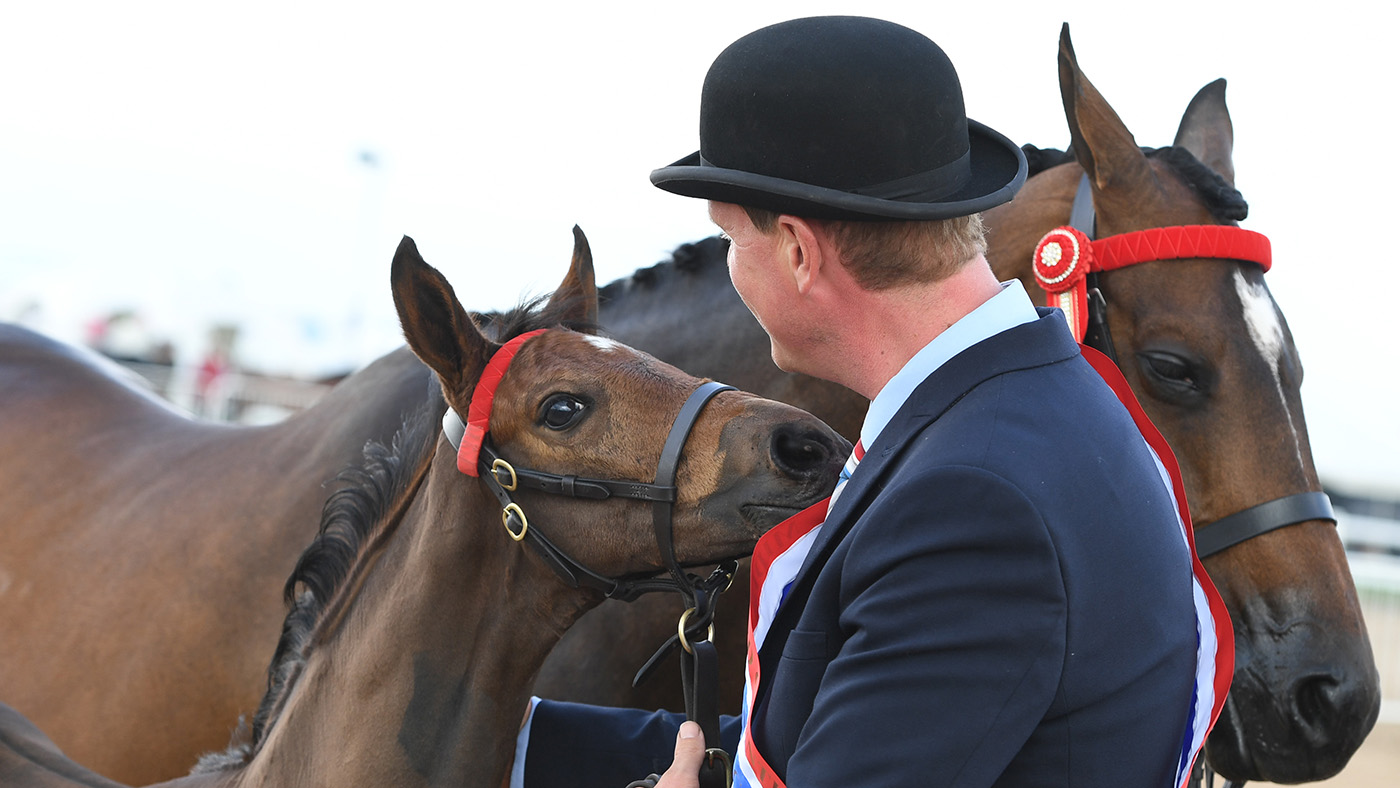 MIDLAND-COUNTIES-FOAL-CHAMP-1.jpg