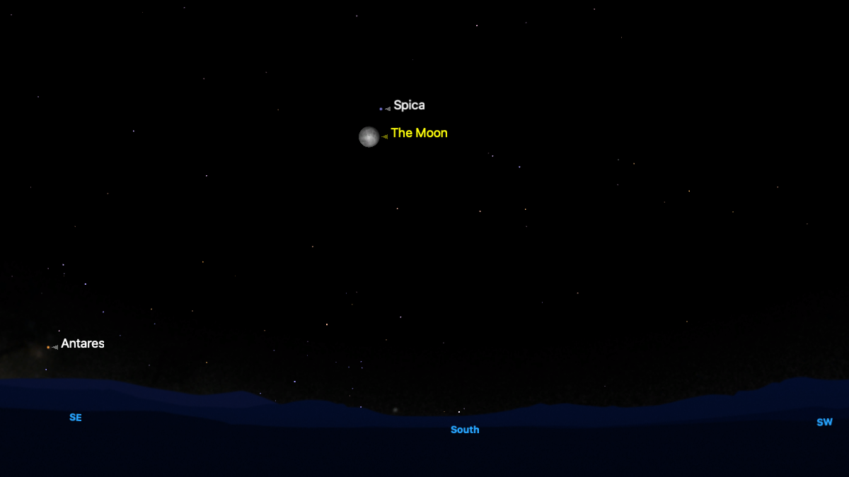 A simulation of the night sky for April 2 showing the moon above the southern horizon in a black sky with the bright star Spica labelled close above.