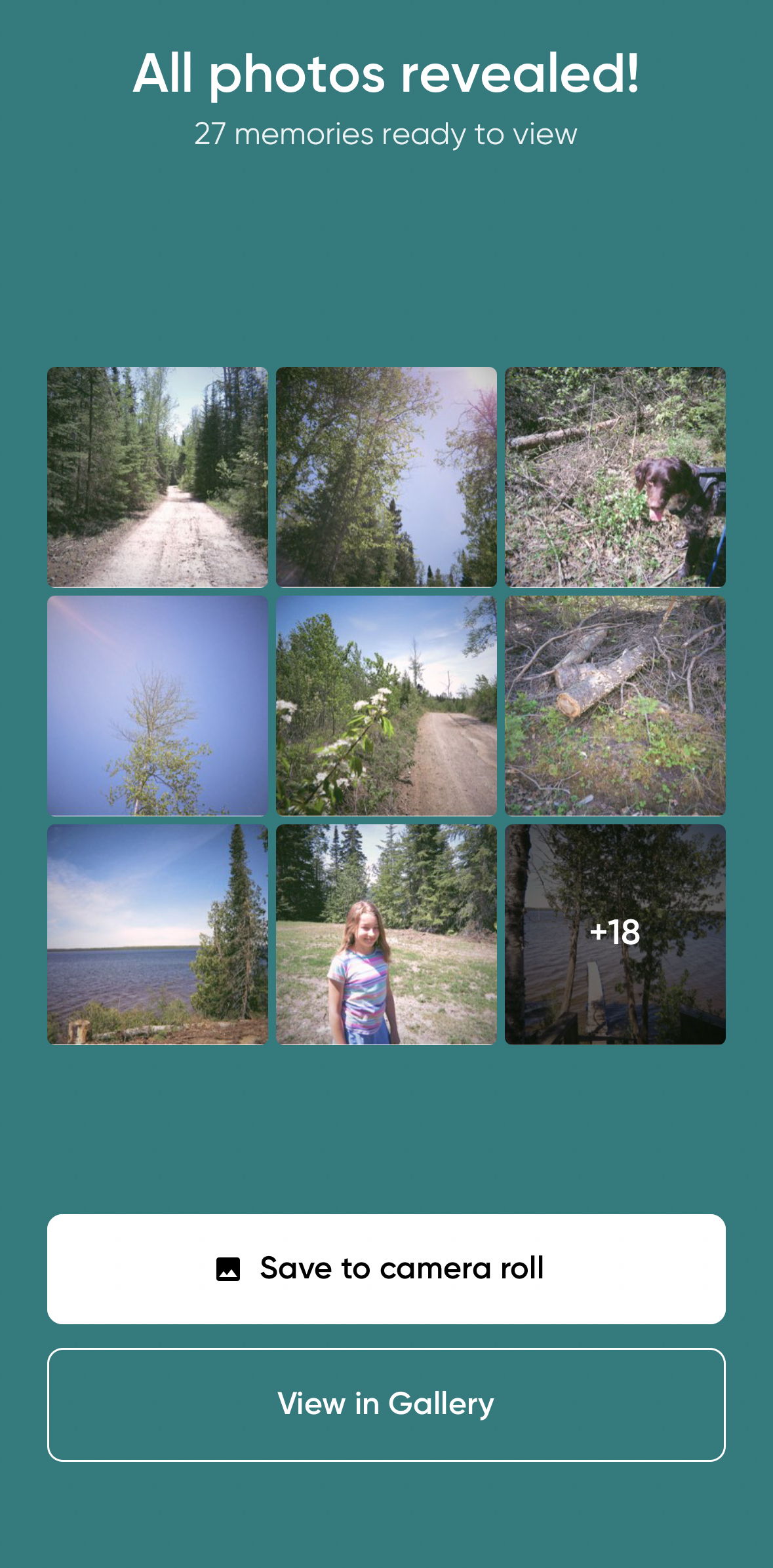 Screenshot of the Flashback app