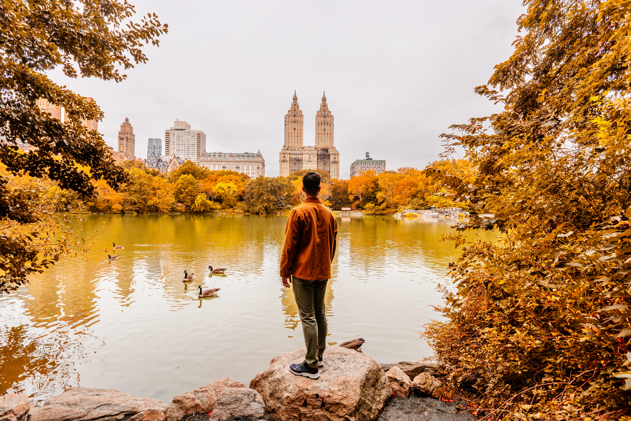 Man looking at autumn leaves colors in Central Park, New York City, USA - stock photo