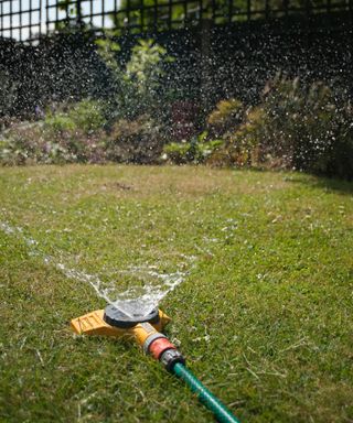 garden sprinkler watering a lawn