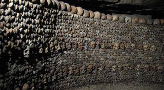 Bones arranged at the Catacombs of Paris.