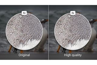 This Google-supplied example shows that there's little difference to the naked eye between an original photo and the high-quality image stored on Google Photos.