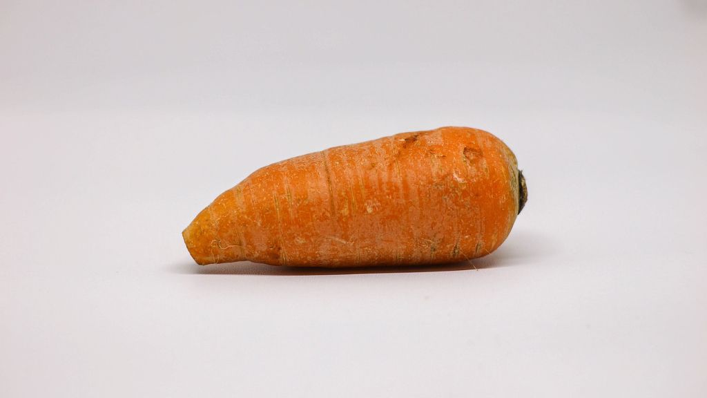 short fat carrot on white background