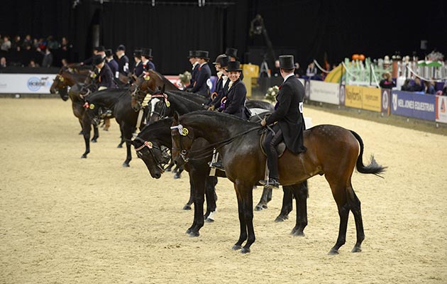 2018 horse of the year show judges