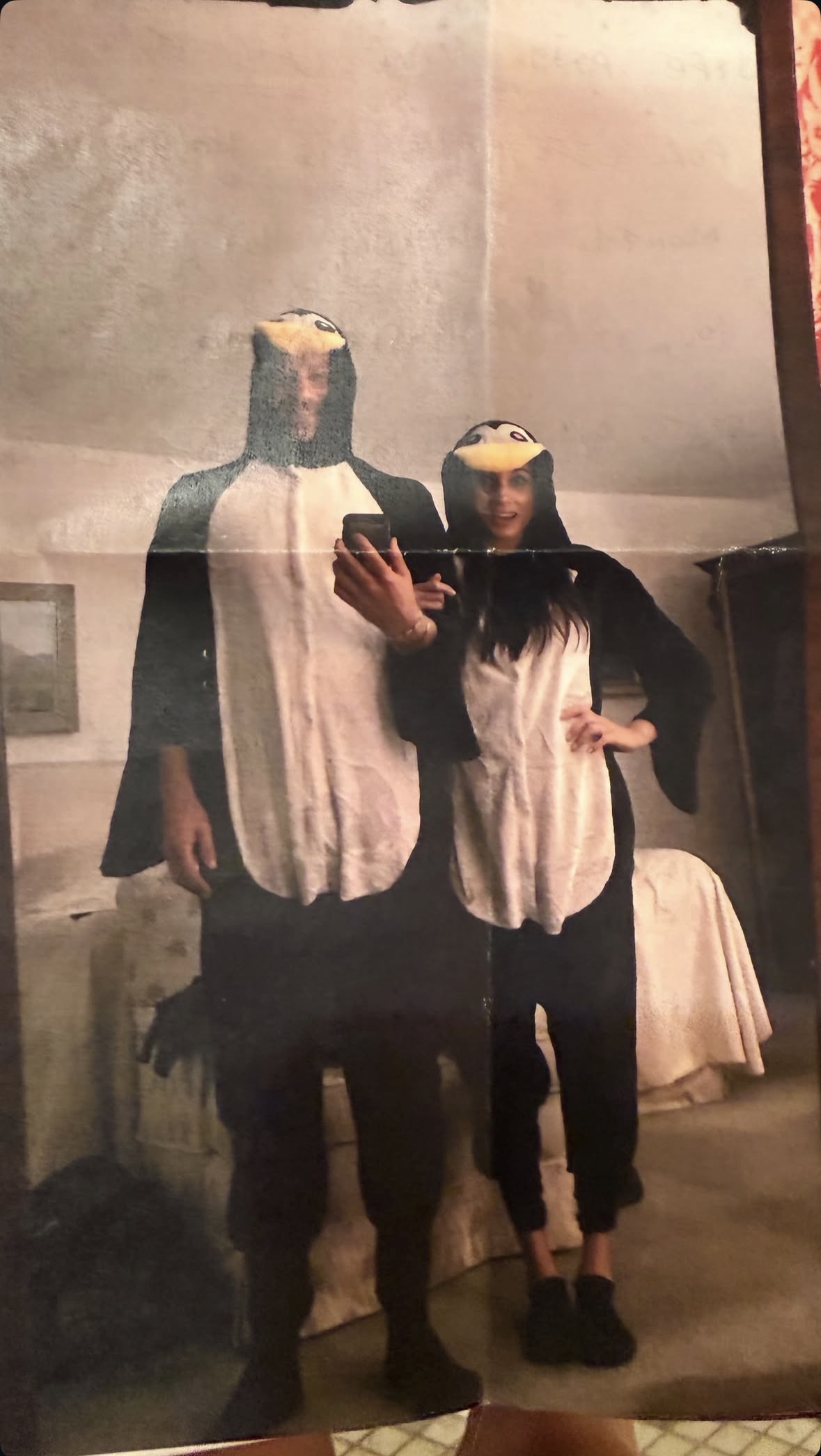 Meghan Markle Prince Harry penguins