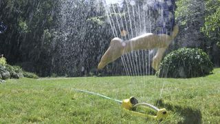 Boy jumping over a lawn sprinkler.