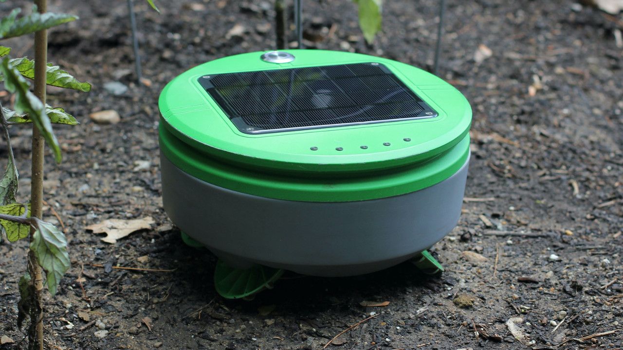 Tertill Weed-Eating Robot