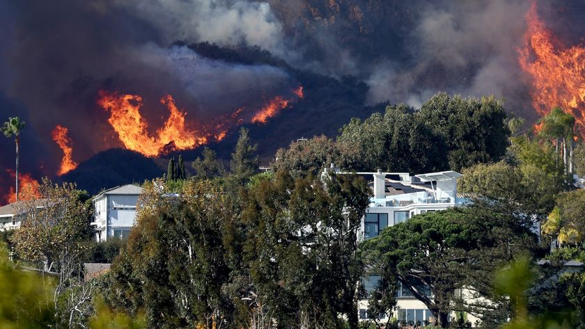 A photo of the Palisade fire approaching a neighborhood