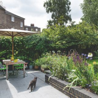 small garden with table, chairs, parasol, tall plants in border near low wall, lawn