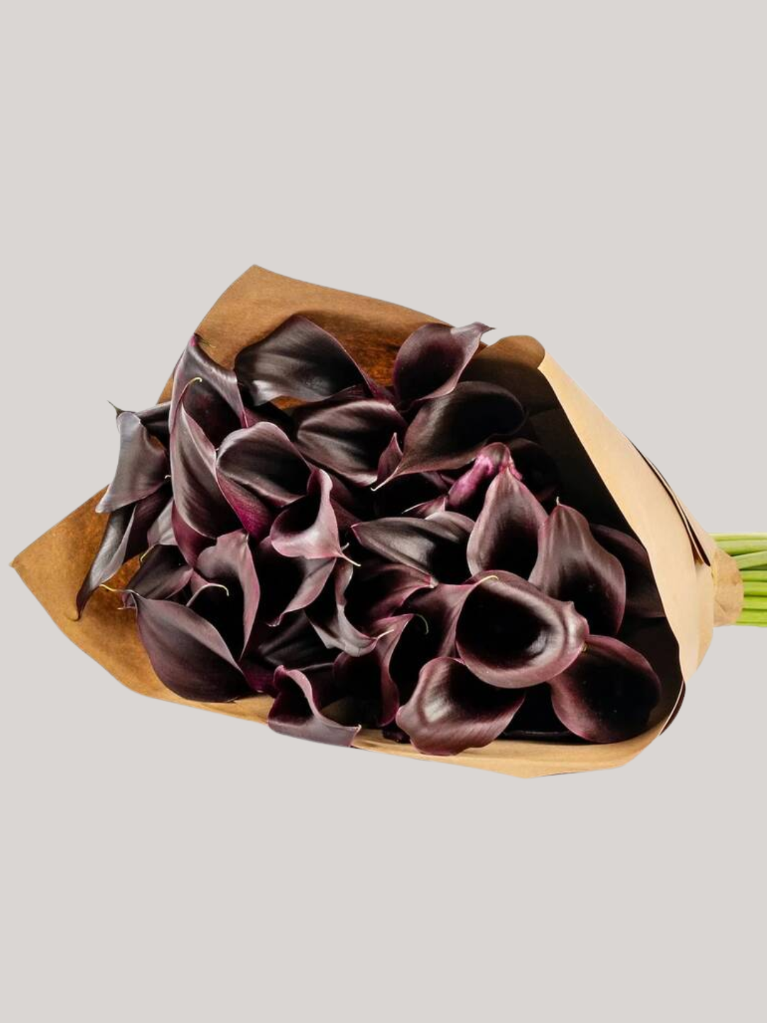 A bouquet of dark glossy calla lilies