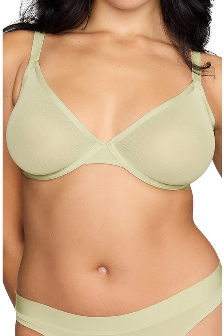 The Plunge Underwire Sheer Mesh Bra