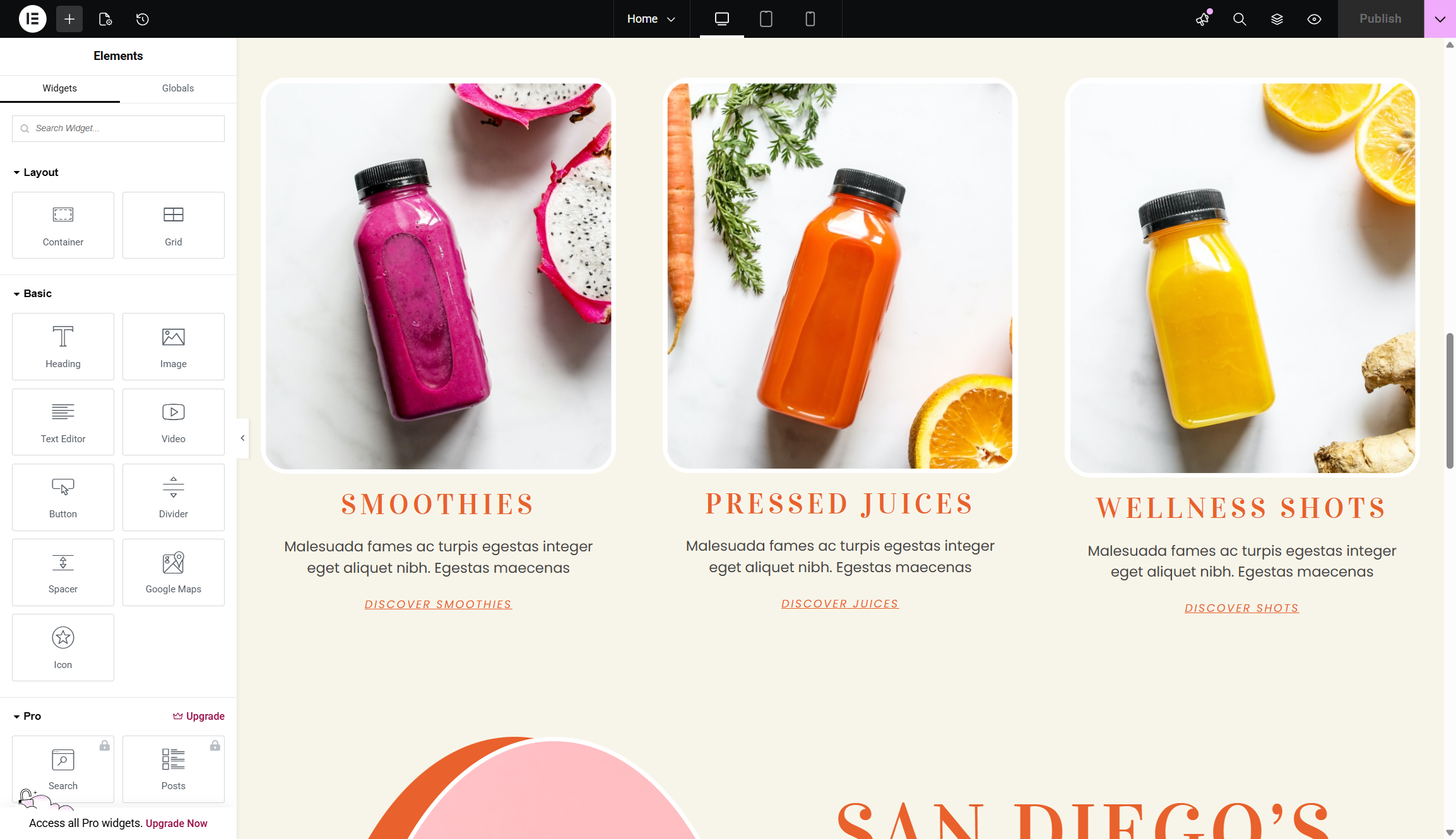 screenshot of elementor website editor
