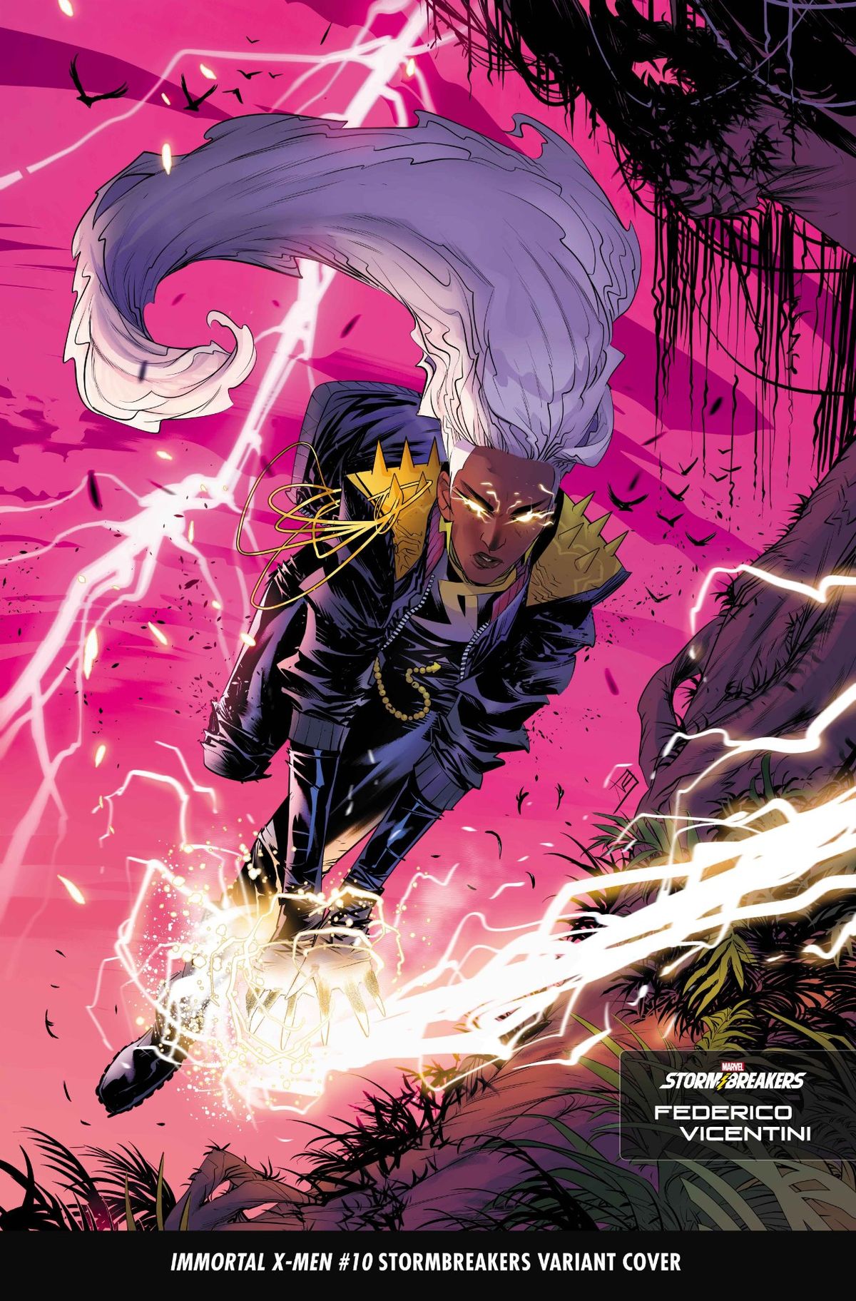 Stormbreaker variant covers