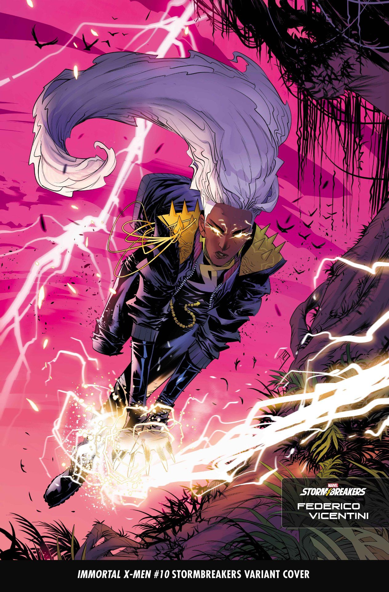 Stormbreaker variant covers