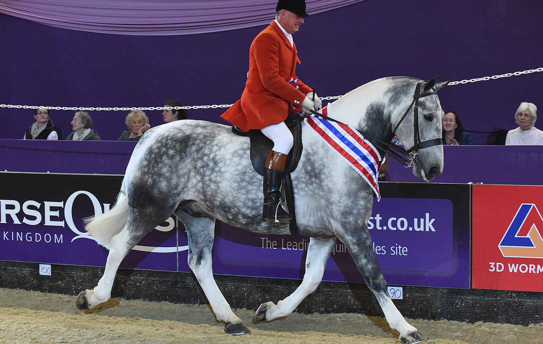 HorseNo1263_HOYSPN15_51605.jpg