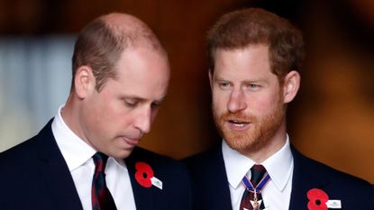 Prince William, Duke of Cambridge and Prince Harry attend an Anzac Day Service of Commemoration and Thanksgiving at Westminster Abbey on April 25, 2018 in London, England