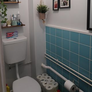 bathroom with blue tiles and handing plants