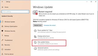 Windows Update History Option