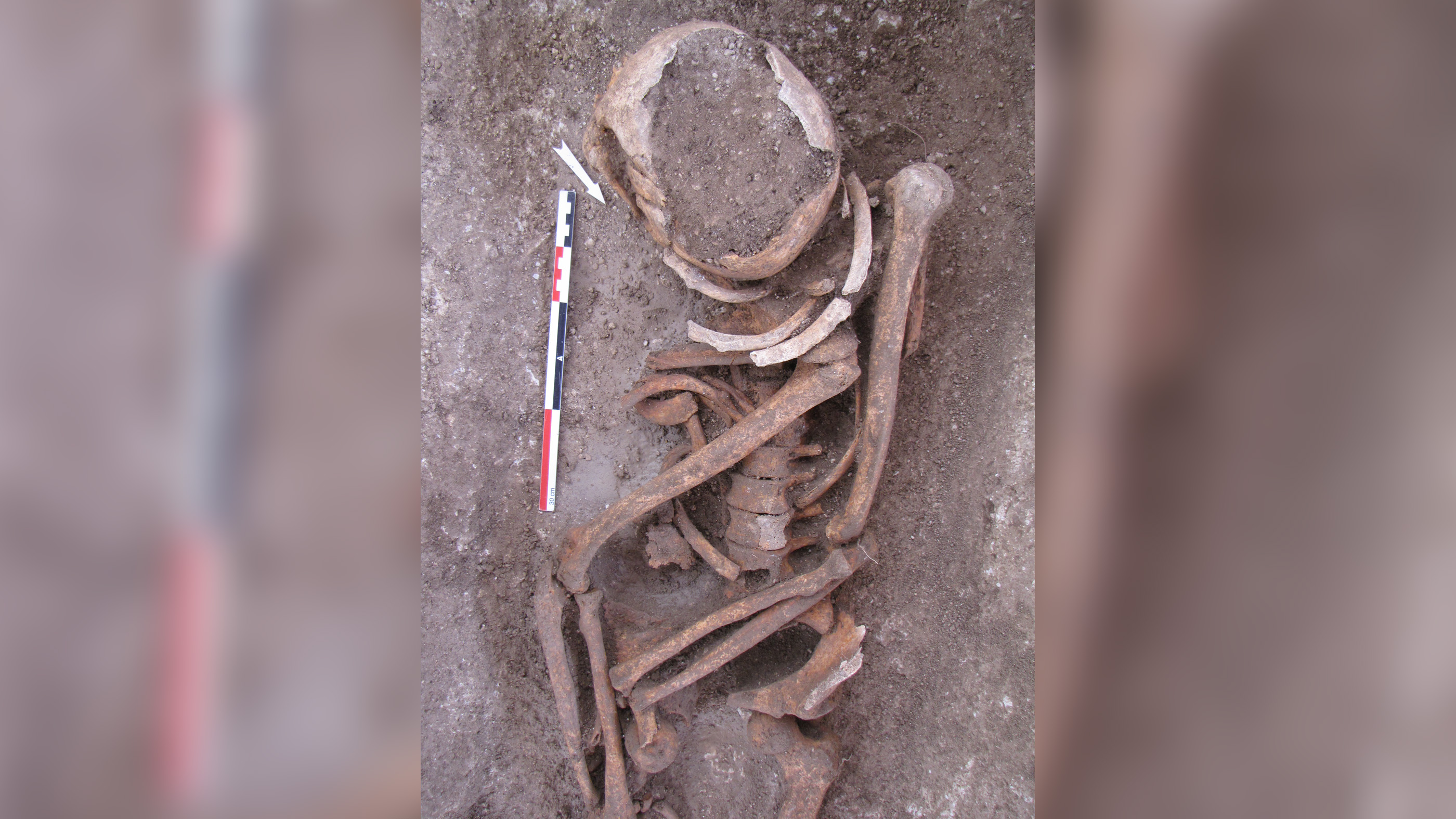 A closeup of a grave in France that was reopened during the early Middle Ages. Reopened graves have been documented from England to Transyvlania.