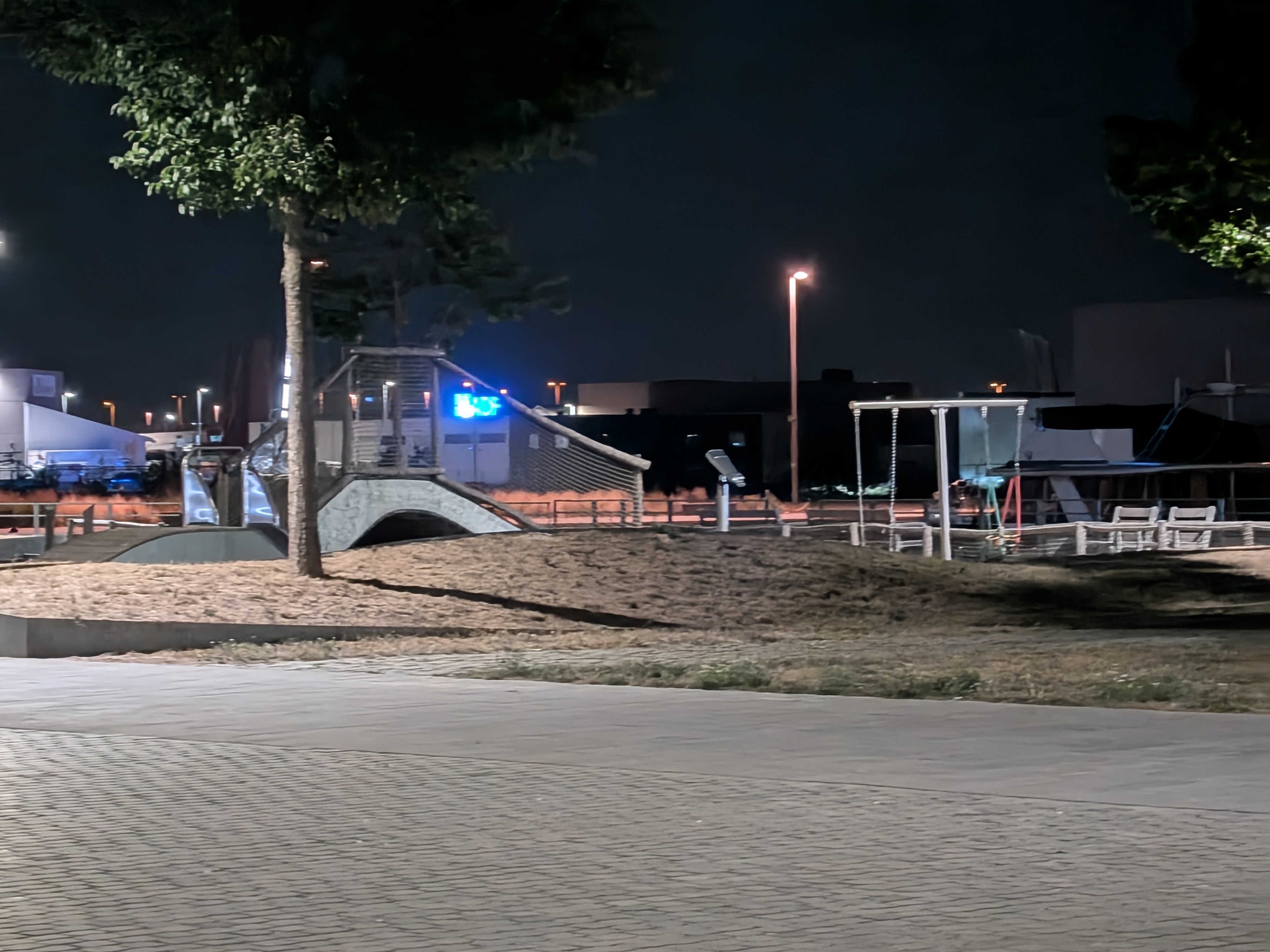 Google Pixel 10 voorbeeldfoto