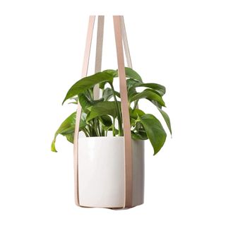 Leather hanging plant holder with potted plant