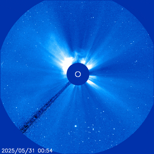 gif animation showing the CME erupting from the sun and a plume of material is seen as a halo around the sun projecting out towards Earth