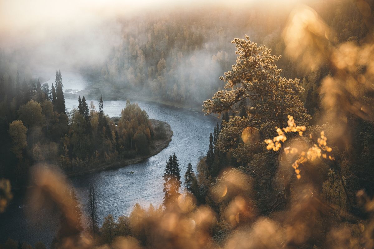 Finish River in autumn, river is curving below trees, some mist in top left, taken by Eeva Mäkinen