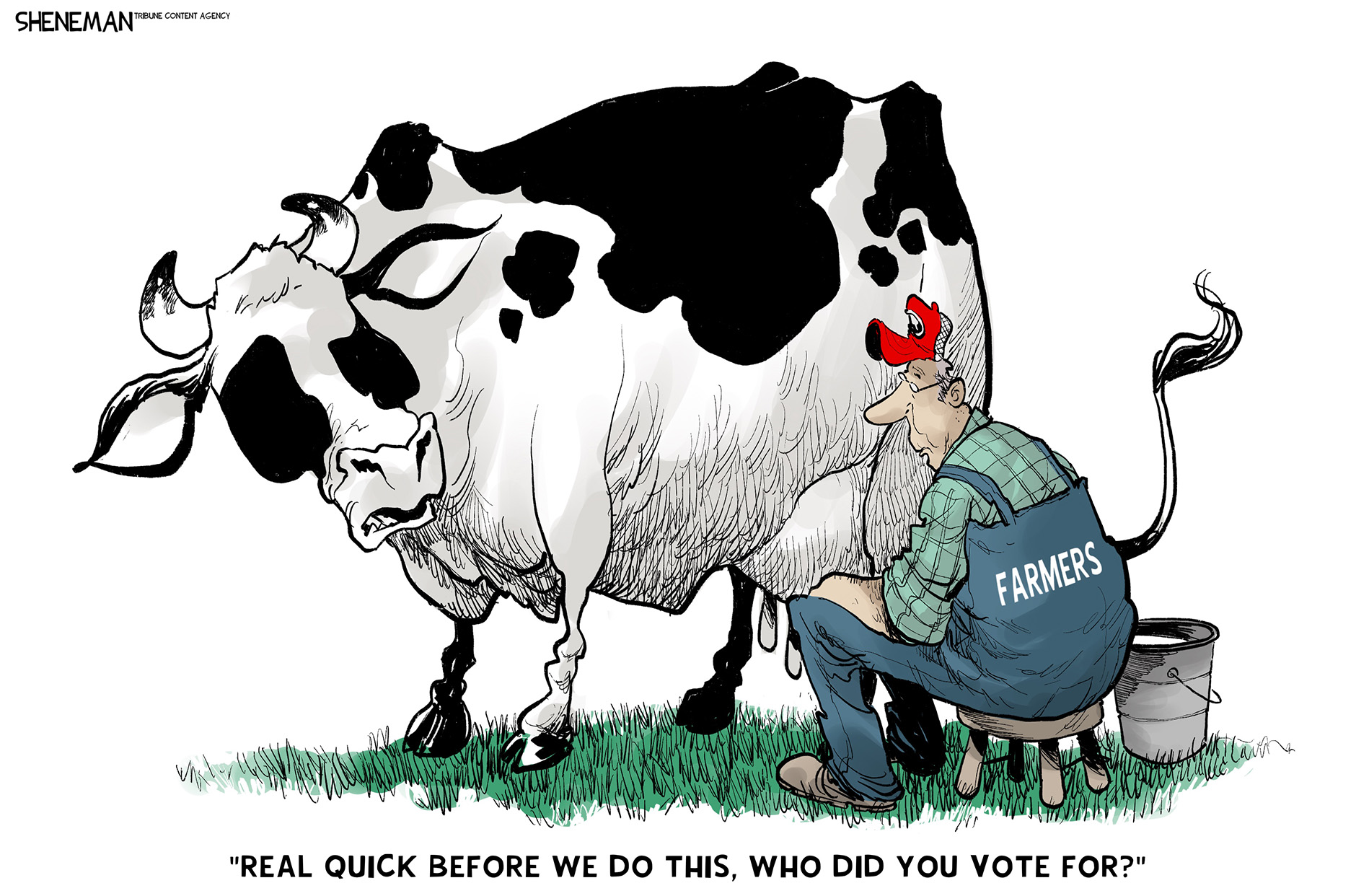 Political Cartoon