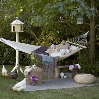 garden with hammock and chickens