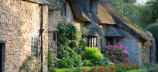 Super cottage with thatched roof and flowers