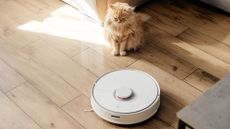 Cat looking angrily at robot vacuum cleaner